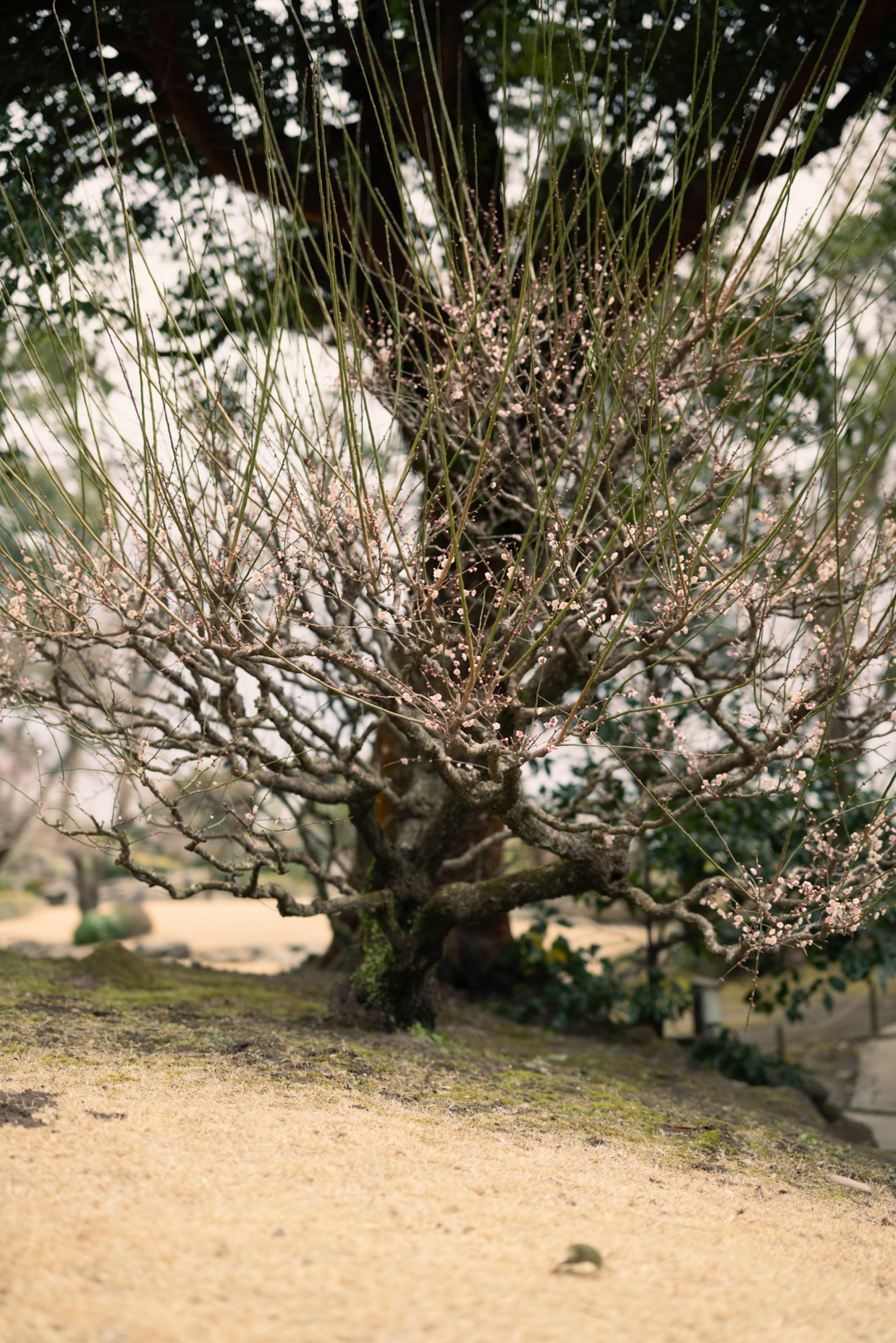 European Photography Awards Winner - We met.