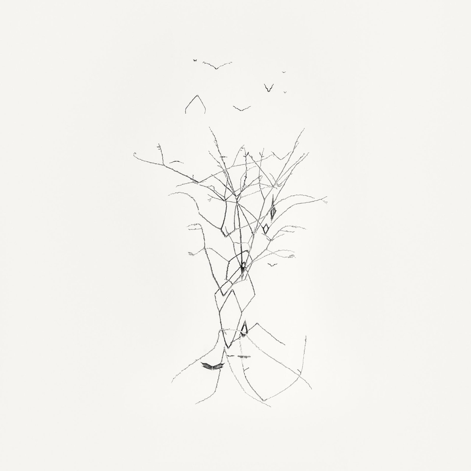 European Photography Awards Winner - Early Spring. In the Mirror 