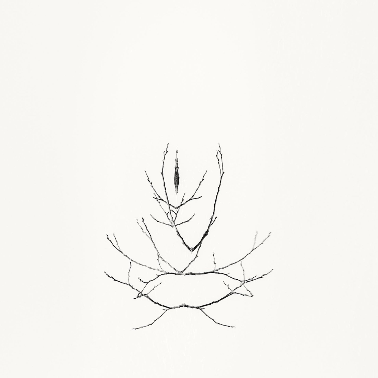 European Photography Awards Winner - Early Spring. In the Mirror 