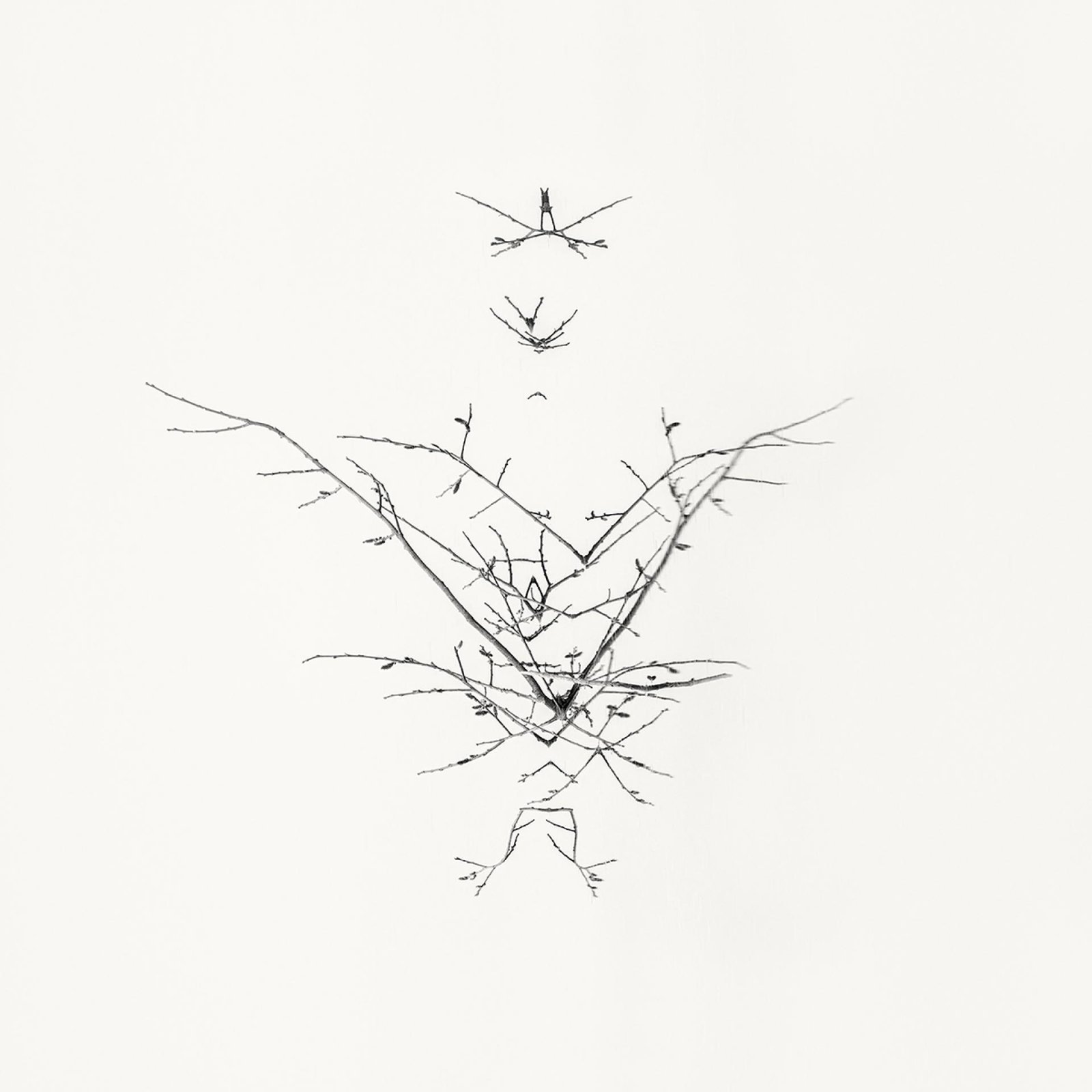 European Photography Awards Winner - Early Spring. In the Mirror 