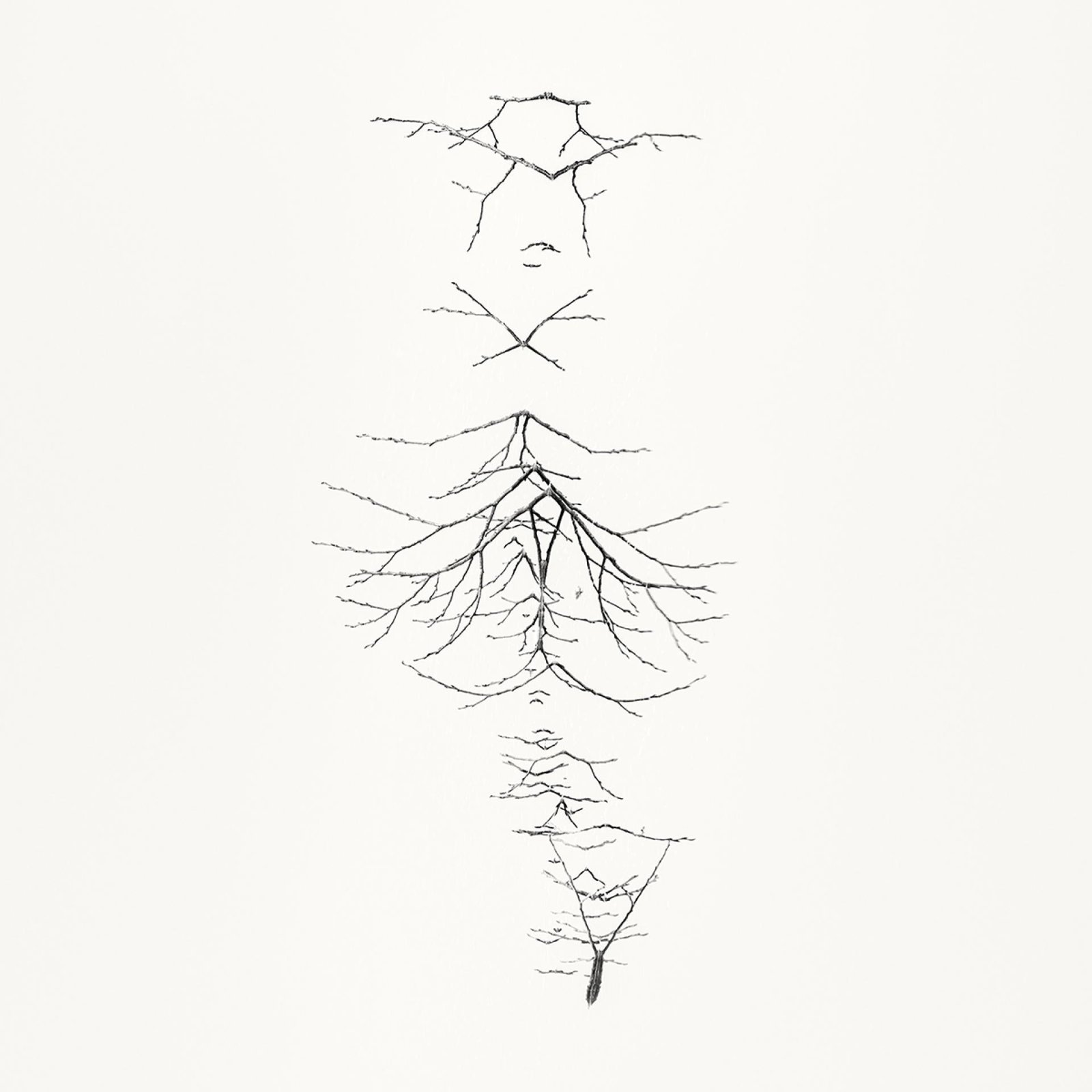 European Photography Awards Winner - Early Spring. In the Mirror 