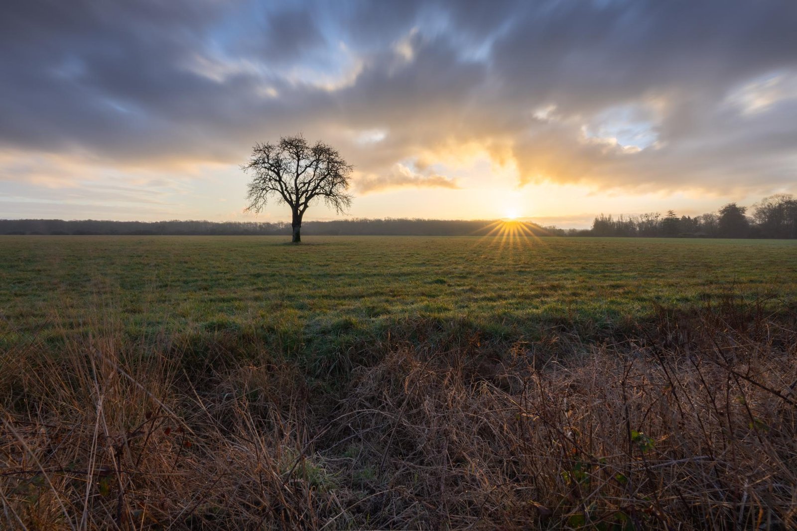 European Photography Awards Winner - Frozen sunrise