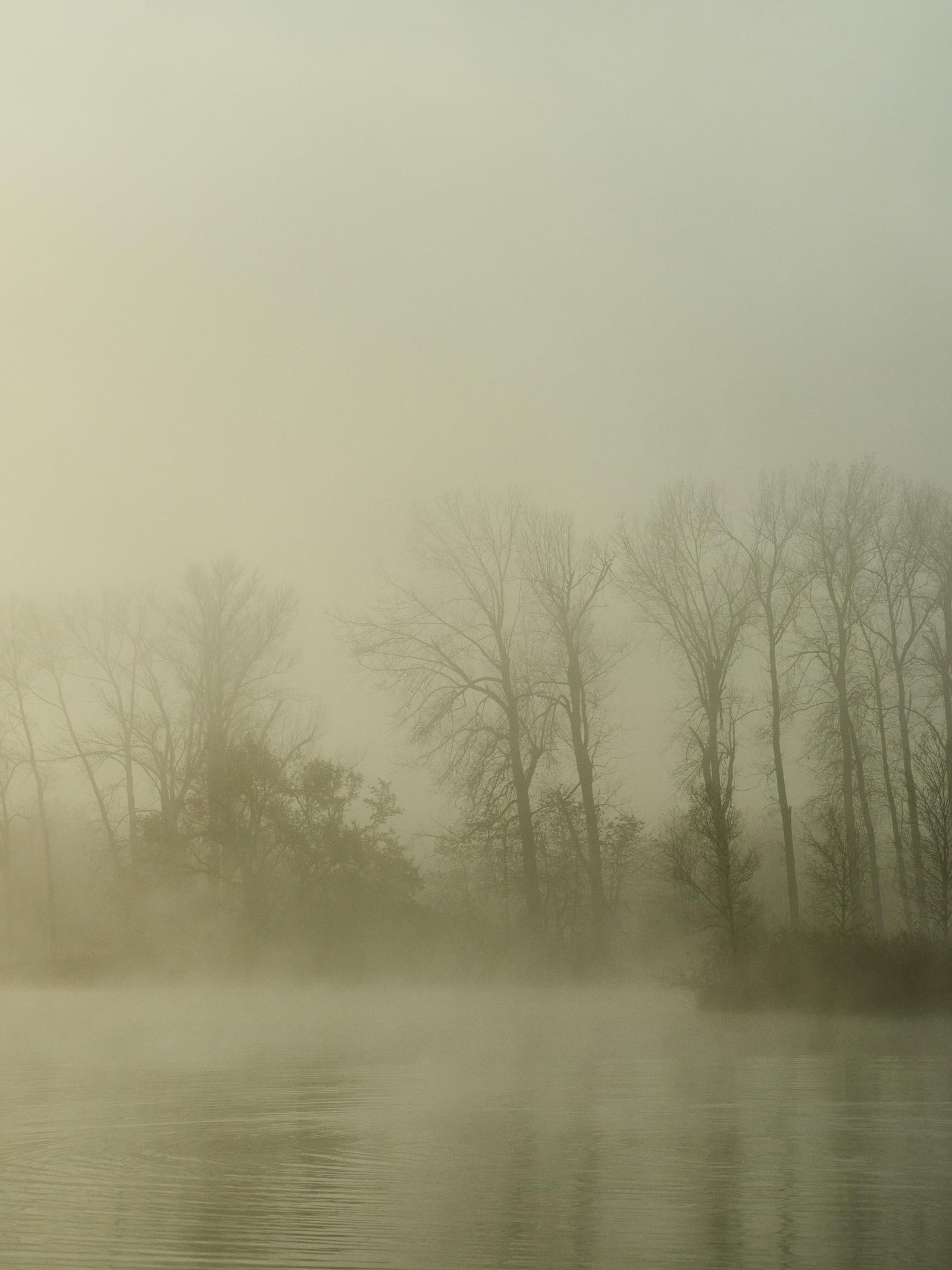 European Photography Awards Winner - Autumn mist