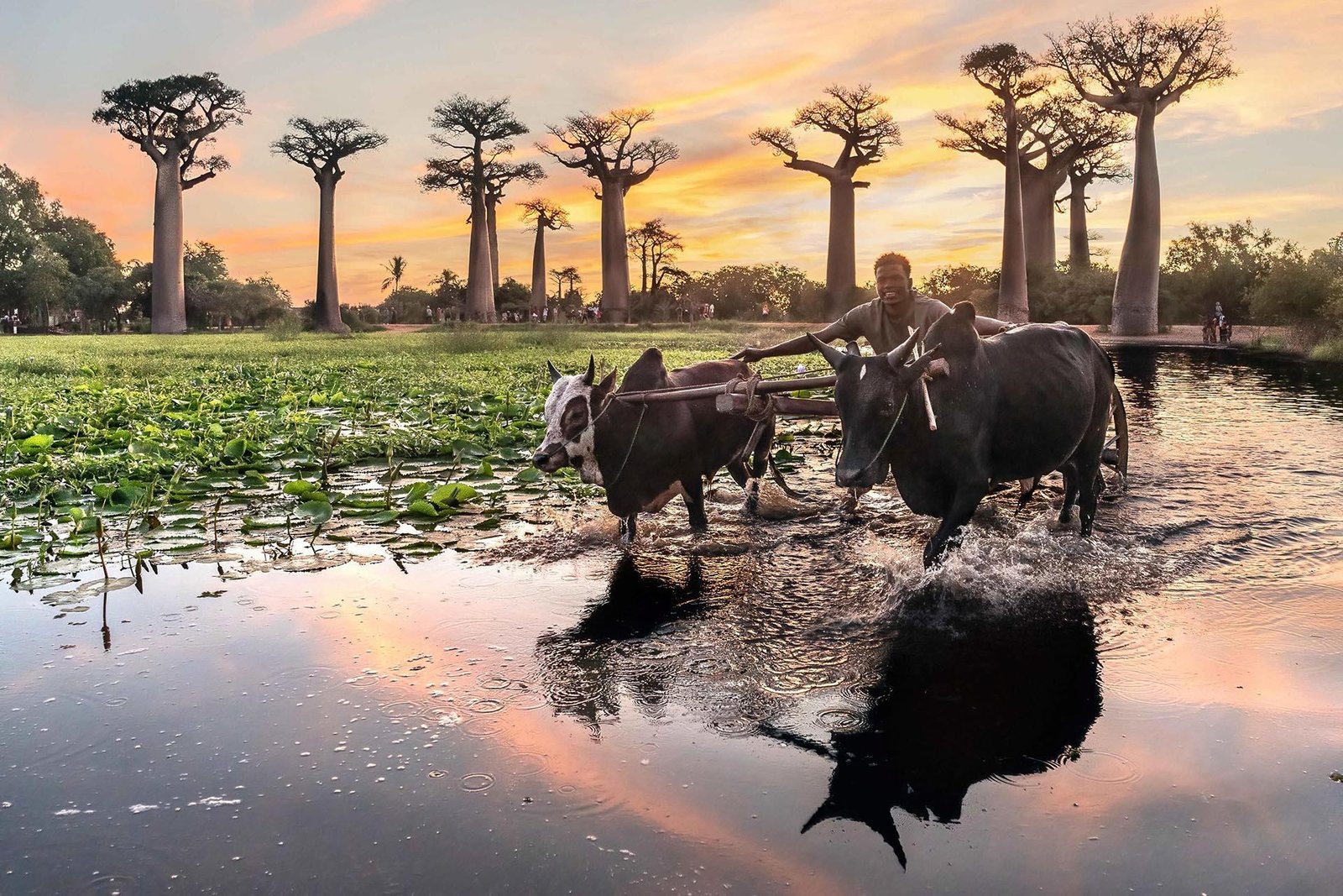 European Photography Awards Winner - Vanishing Worlds