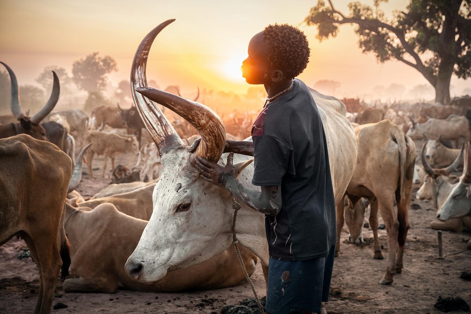 European Photography Awards Winner - Vanishing Worlds