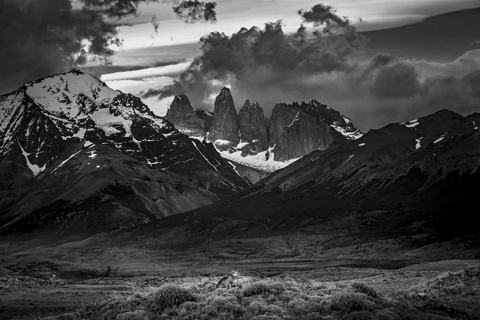 European Photography Awards Winner - Stillness Beneath the Towers