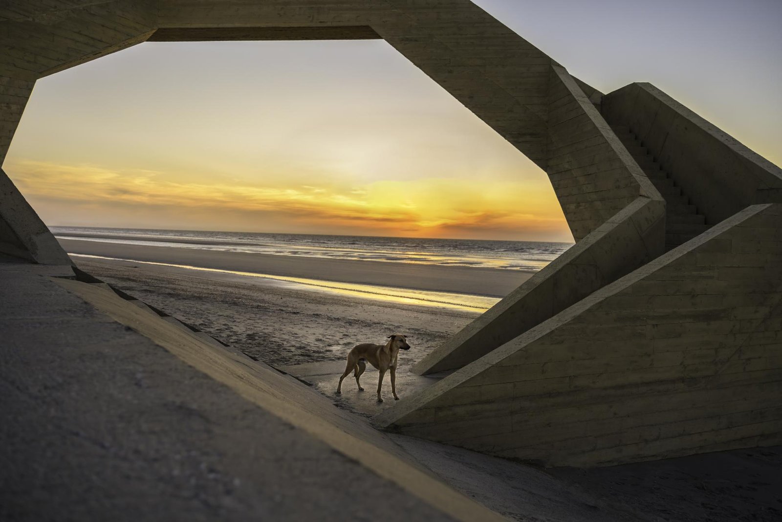 European Photography Awards Winner - Framed Freedom