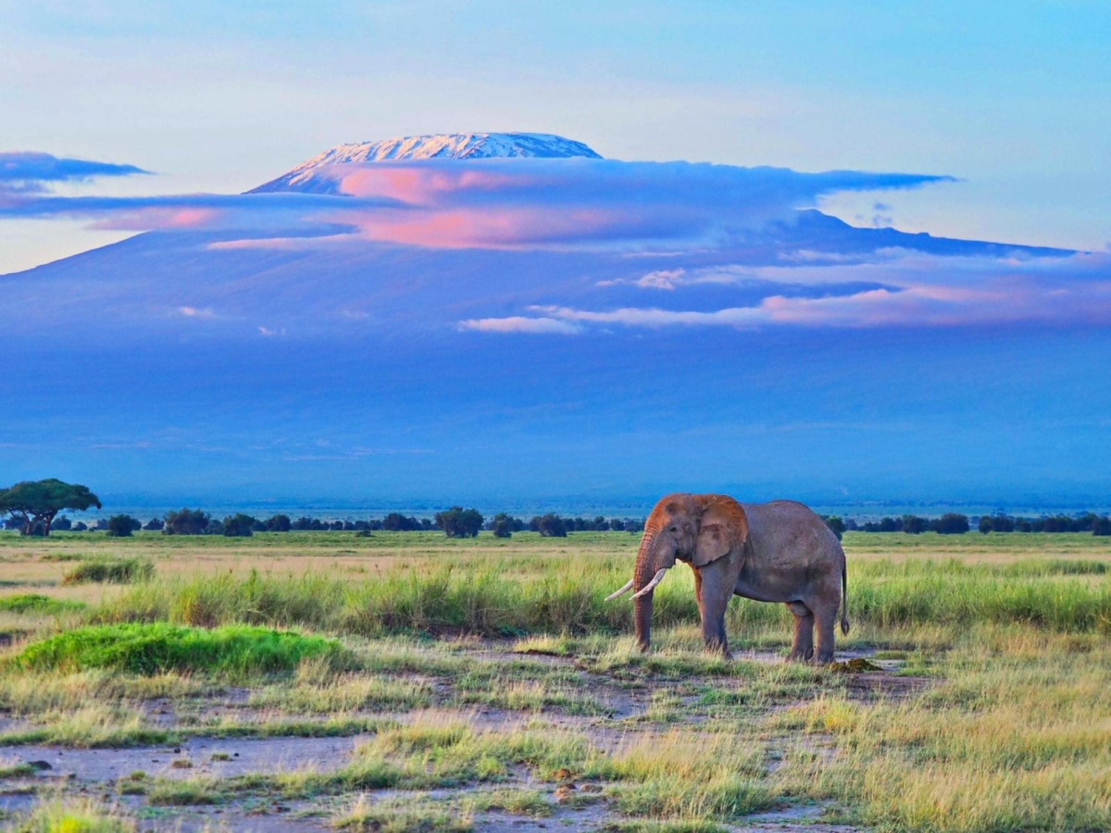 European Photography Awards Winner - At the Kilimanjaro