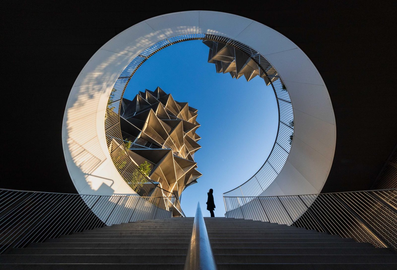European Photography Awards Winner - Framed Presence