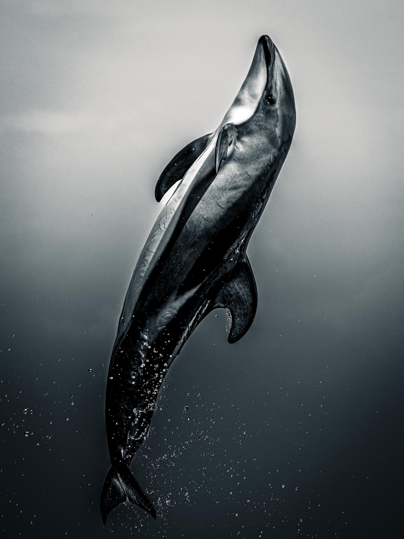 European Photography Awards Winner - The Leap to Freedom