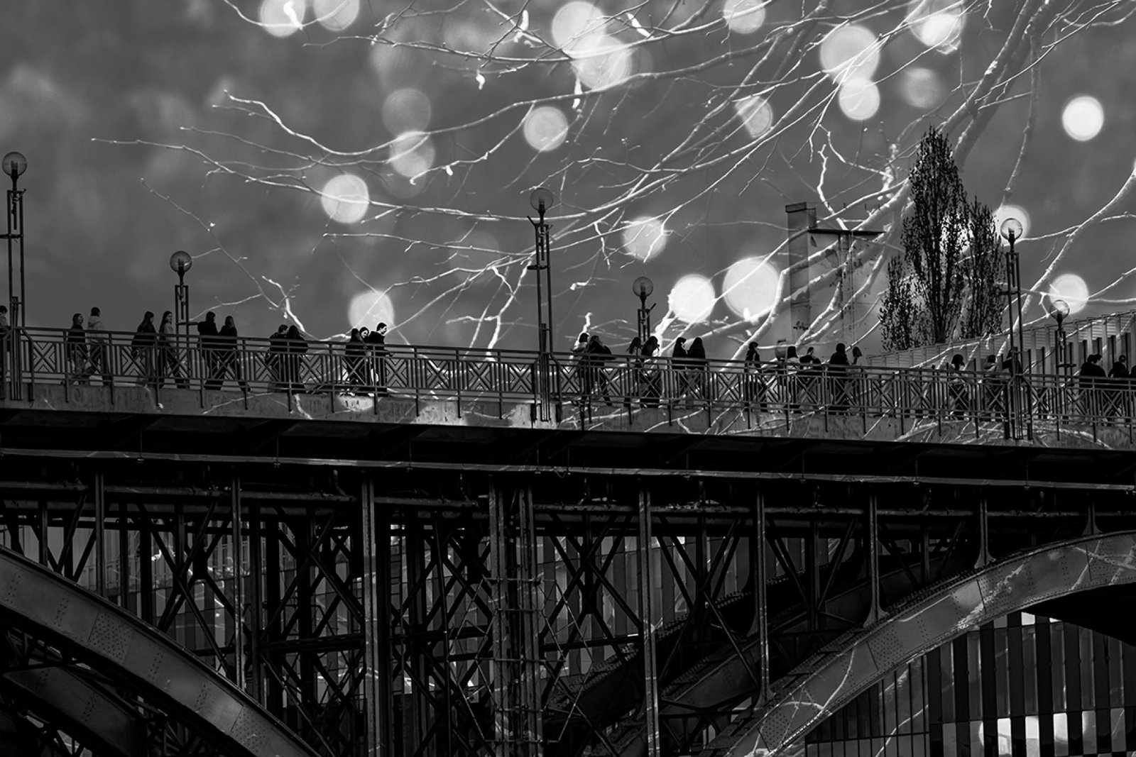 European Photography Awards Winner - Between the Lines of Reality