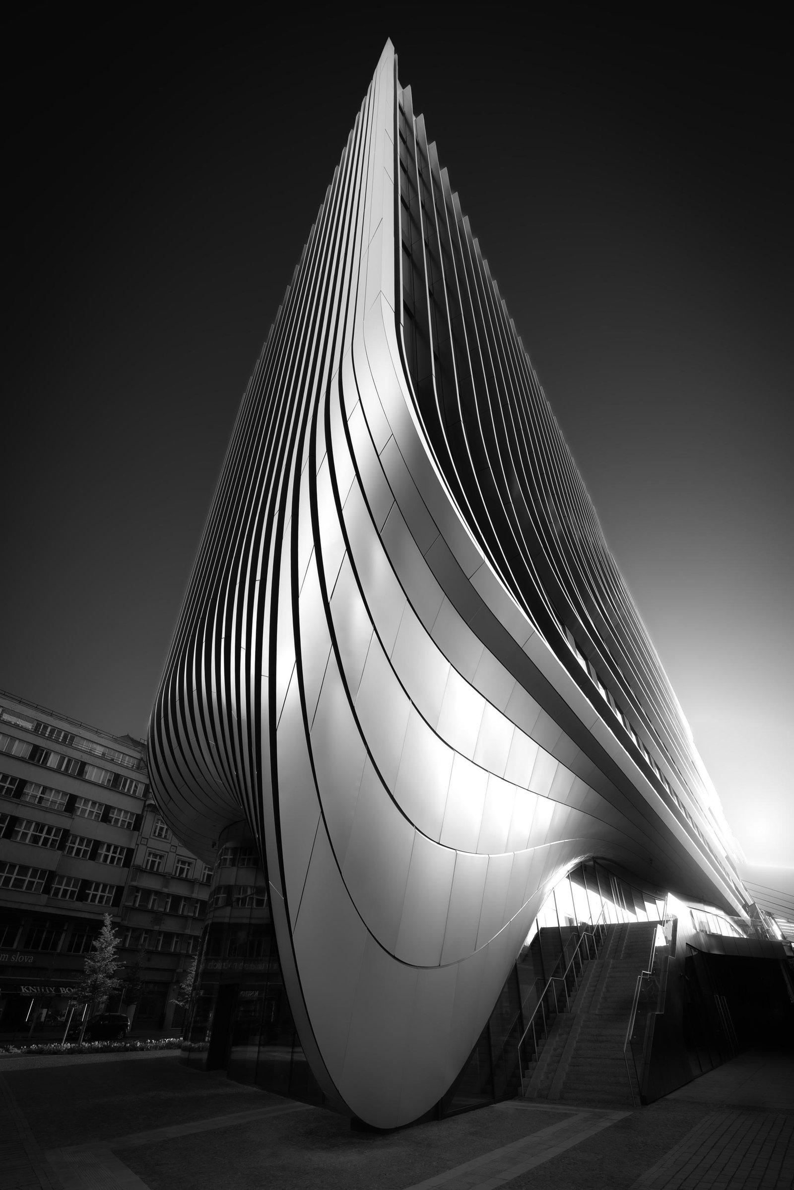 European Photography Awards Winner - Ascending Rhythm
