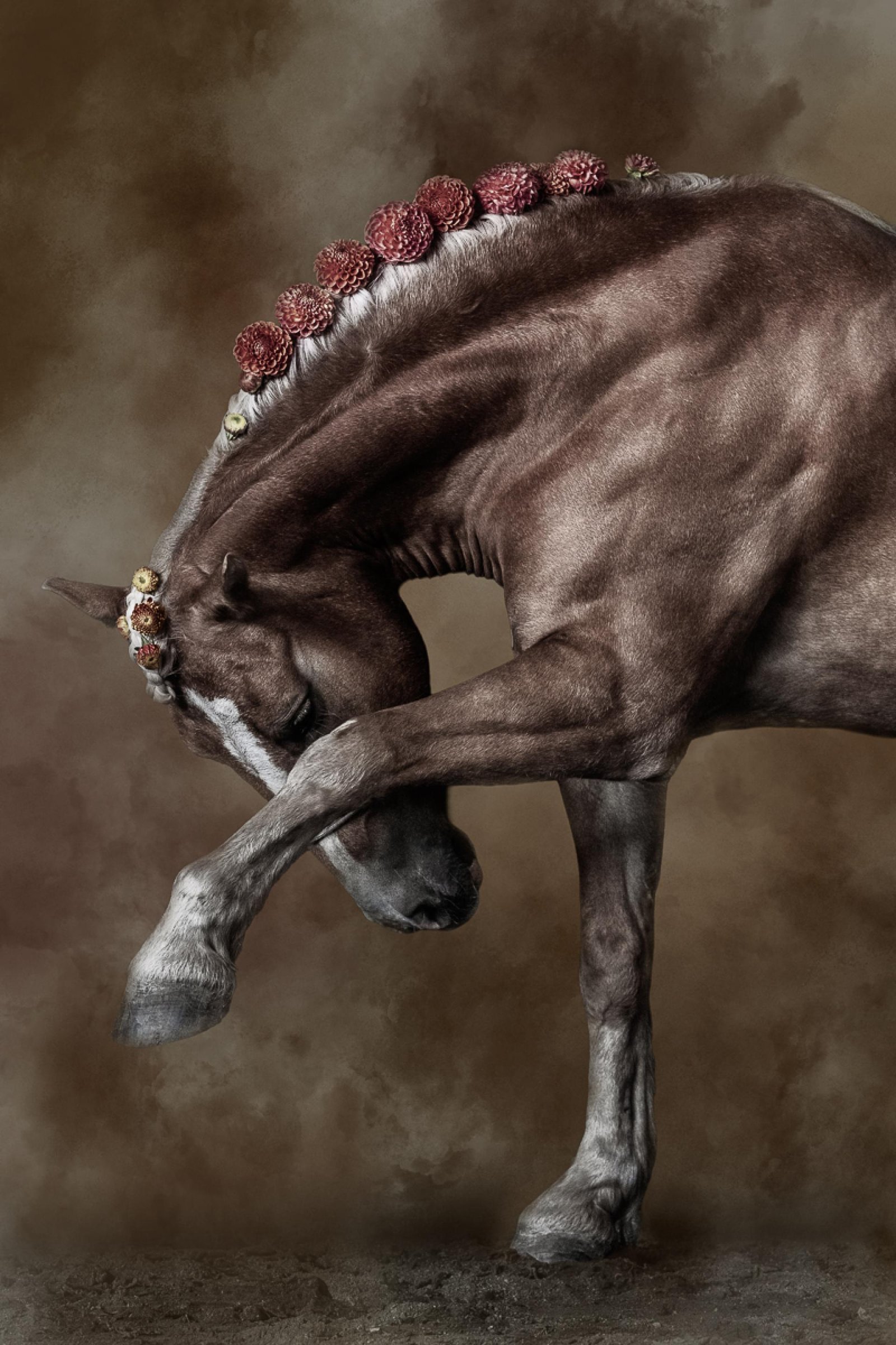 European Photography Awards Winner - Reverence