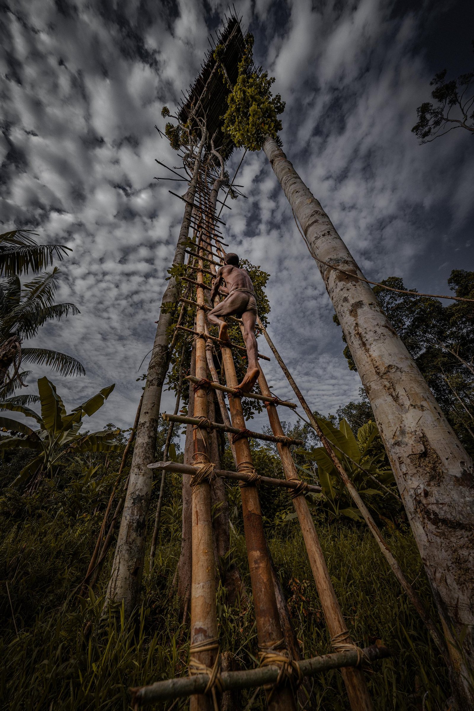 European Photography Awards Winner - Fading - the last of their kinds
