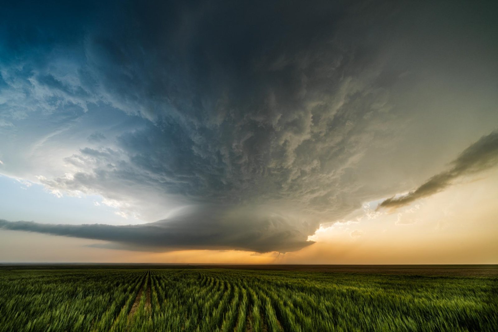 European Photography Awards Winner - Under Rotation
