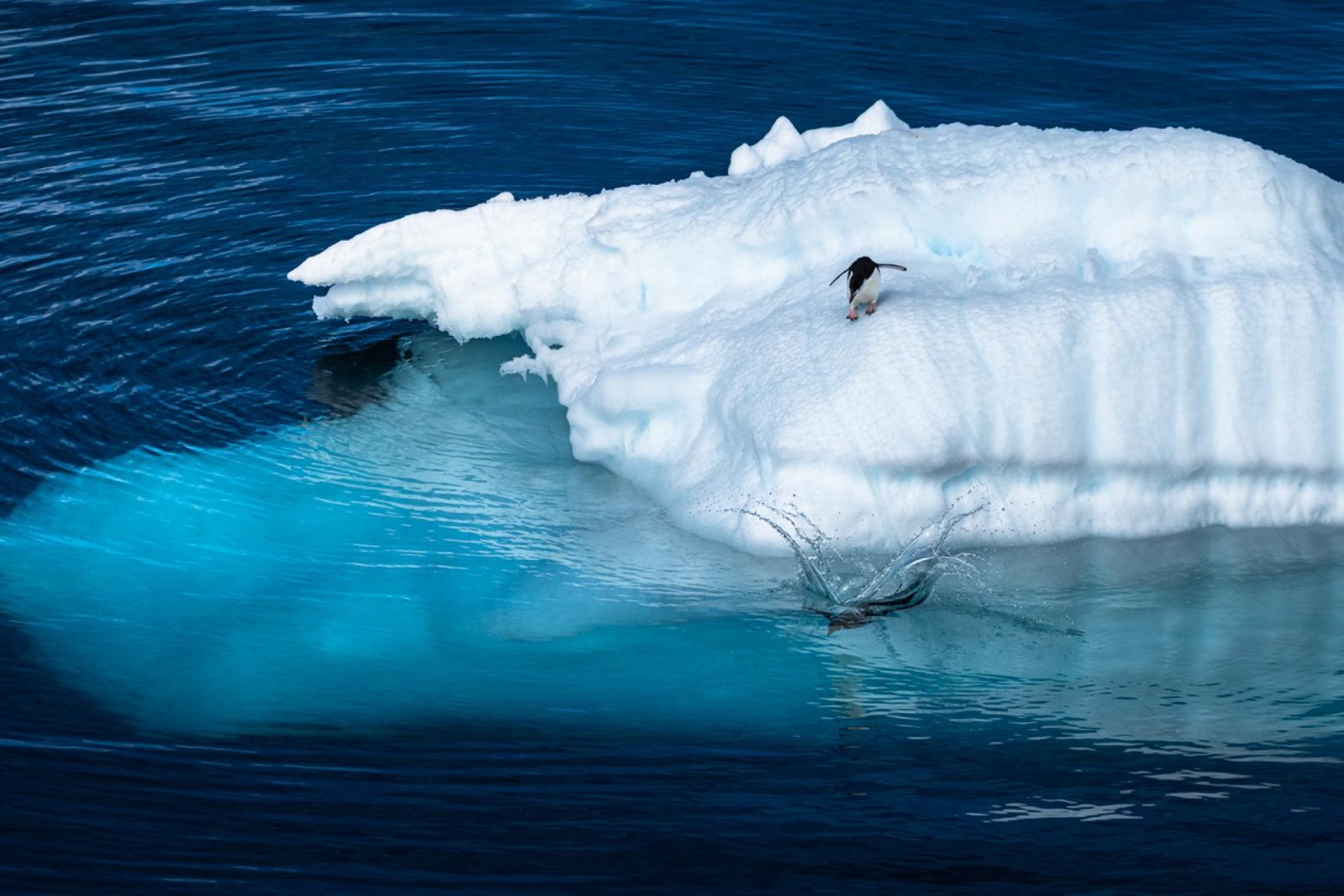 European Photography Awards Winner - The Leap