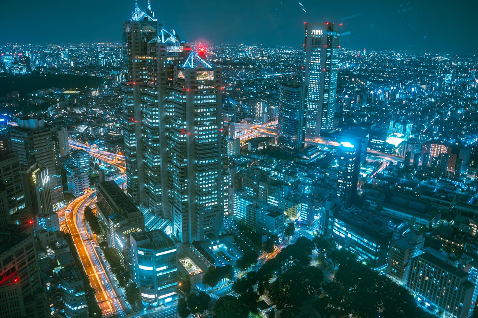 European Photography Awards Winner - Megacity Veins