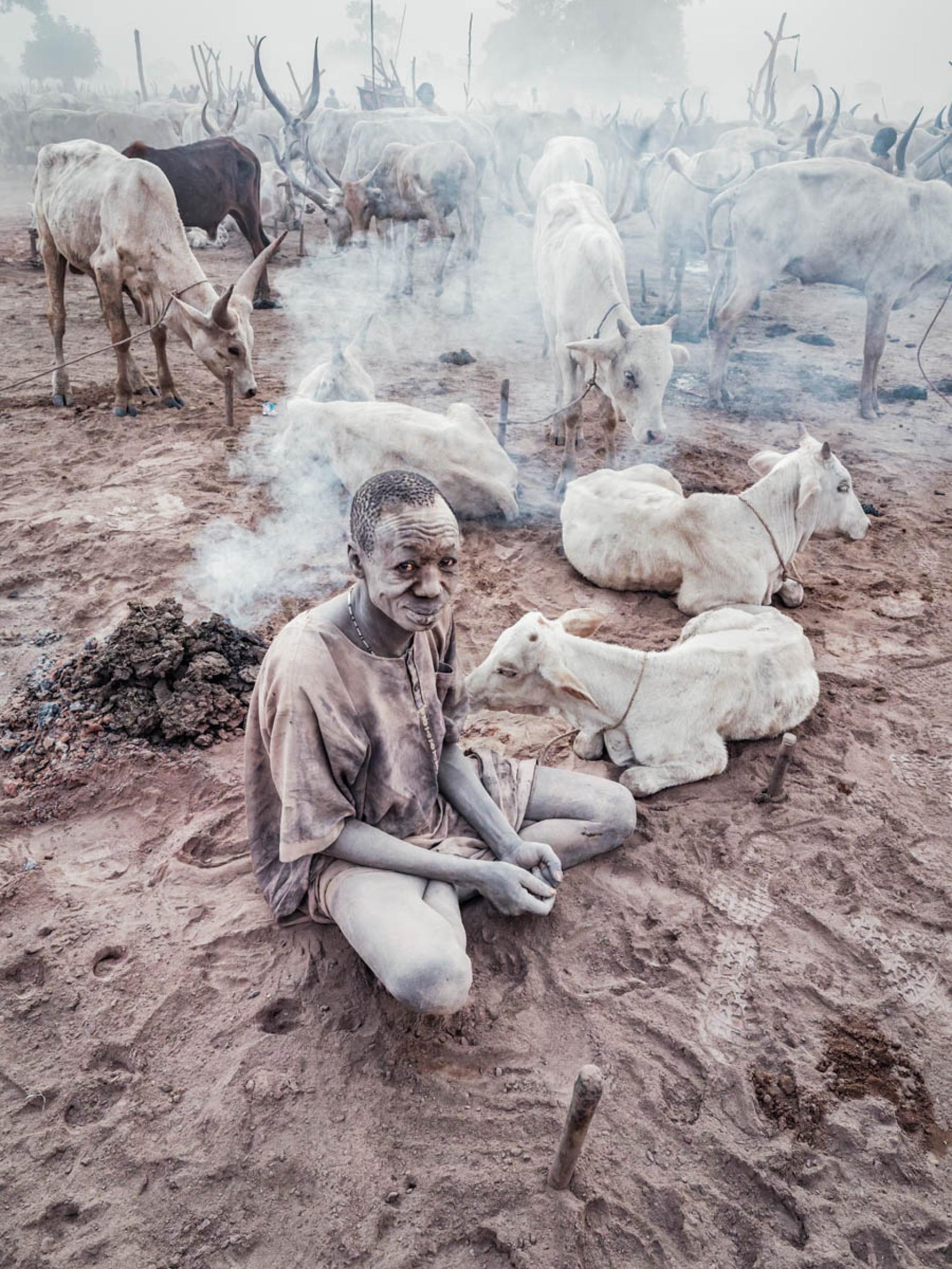 European Photography Awards Winner - The Poetry of Dust and Horn