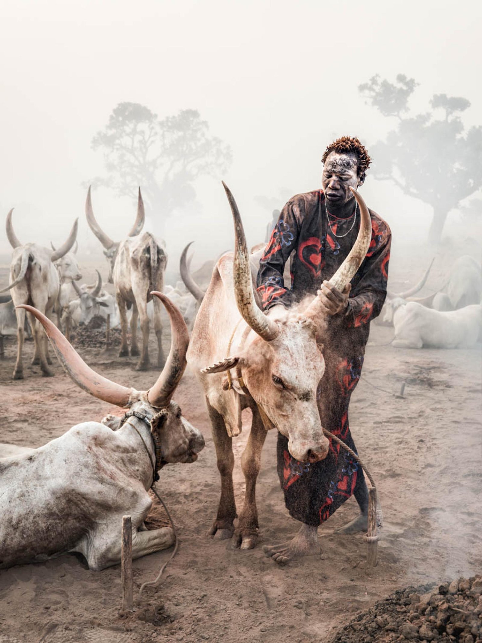 European Photography Awards Winner - The Poetry of Dust and Horn
