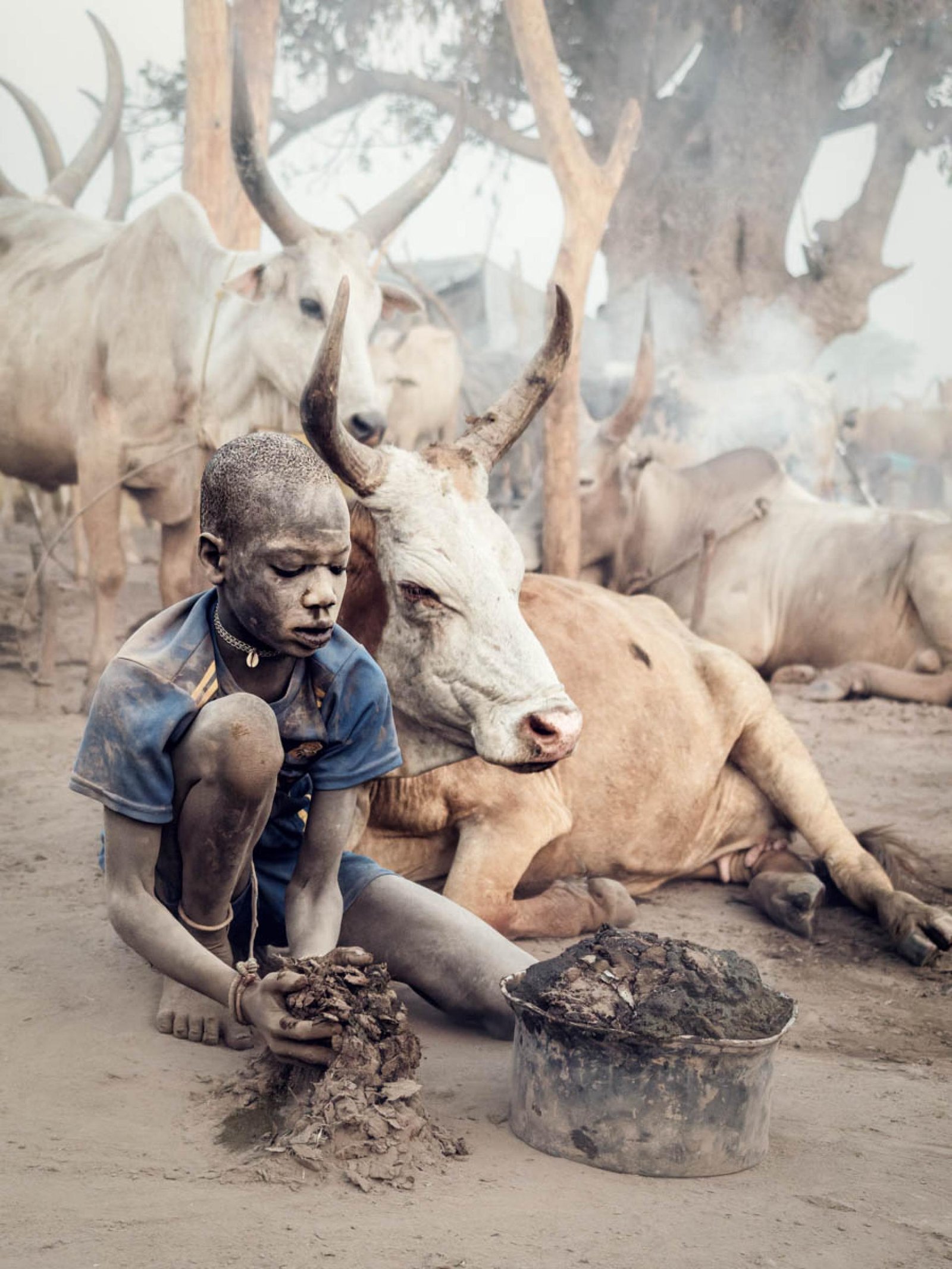 European Photography Awards Winner - The Poetry of Dust and Horn