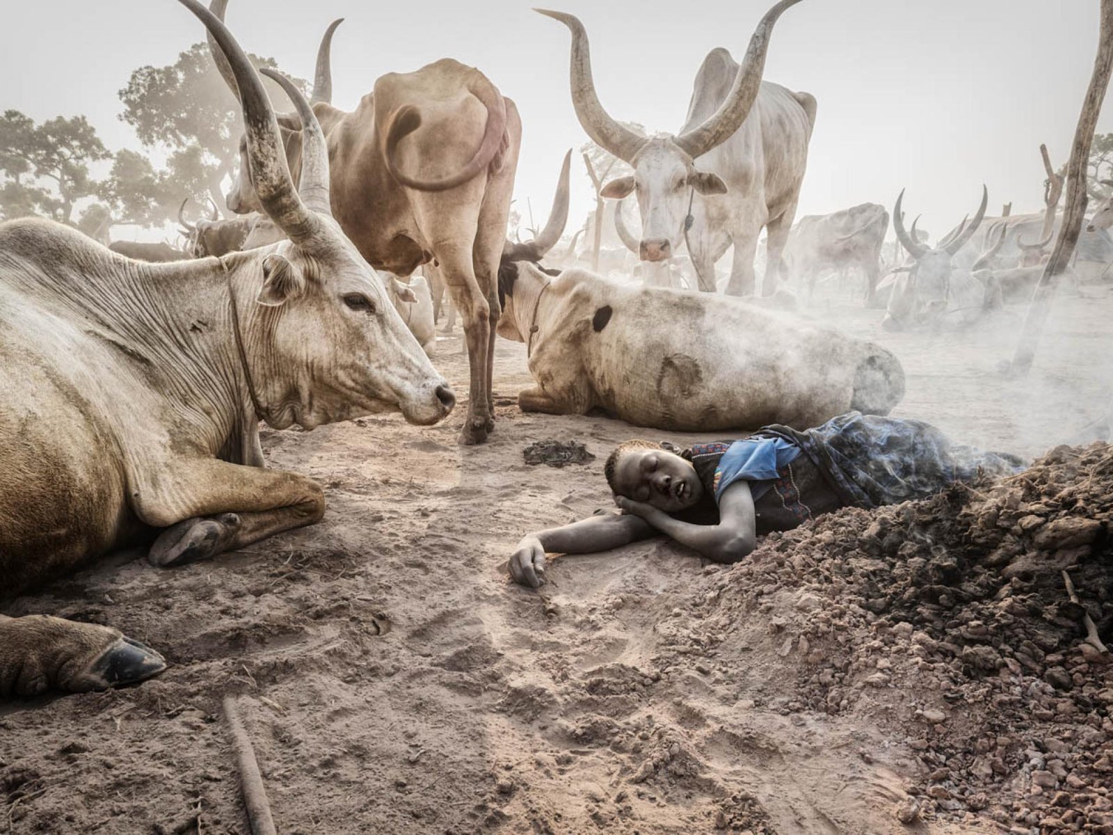 European Photography Awards Winner - The Poetry of Dust and Horn