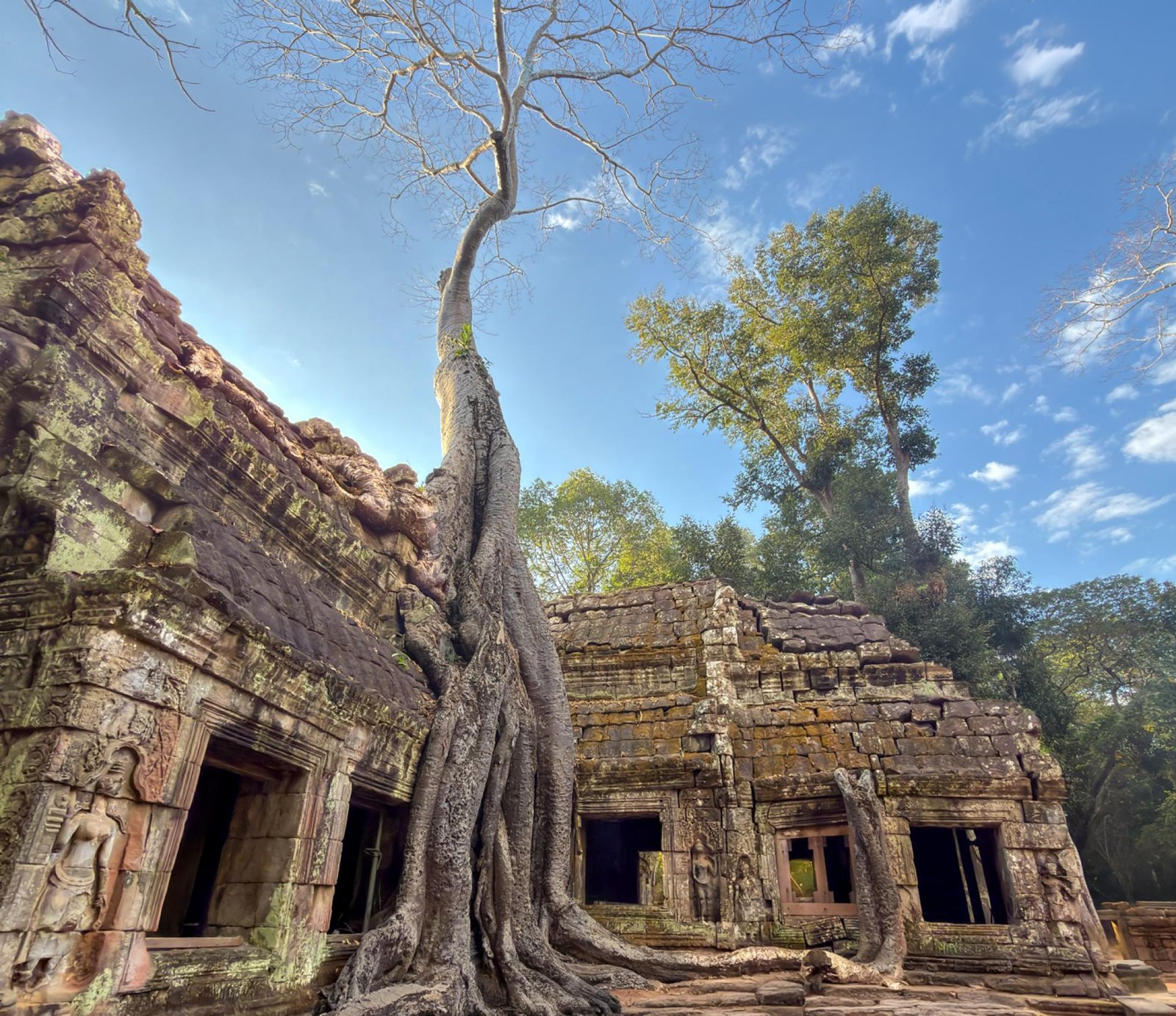European Photography Awards Winner - Early Morning, Ta Proem Temple, Cambodia.