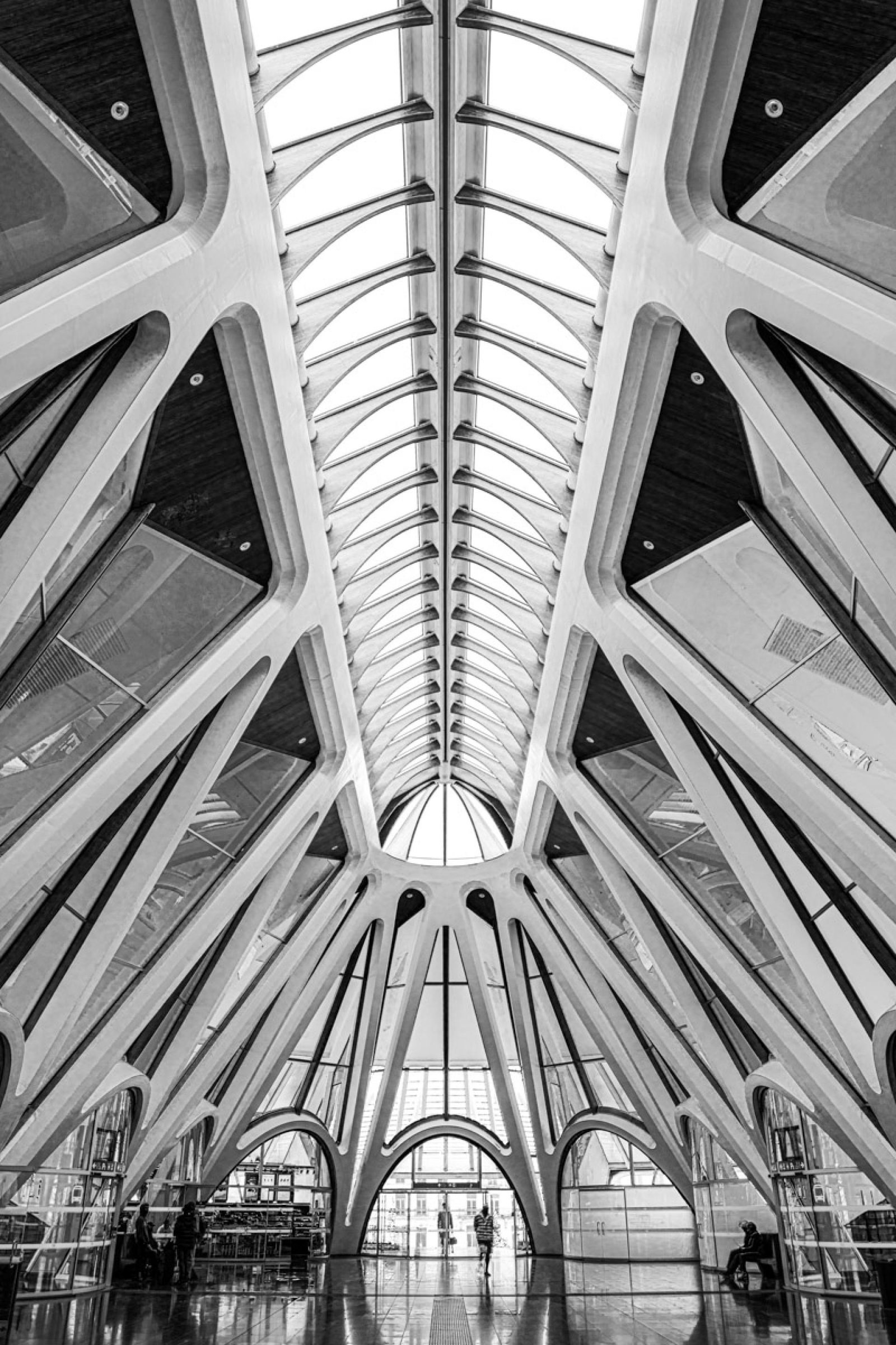 European Photography Awards Winner - Station