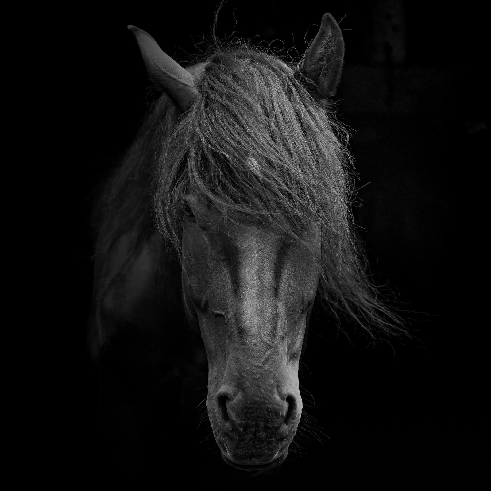 European Photography Awards Winner - Genuine Heart