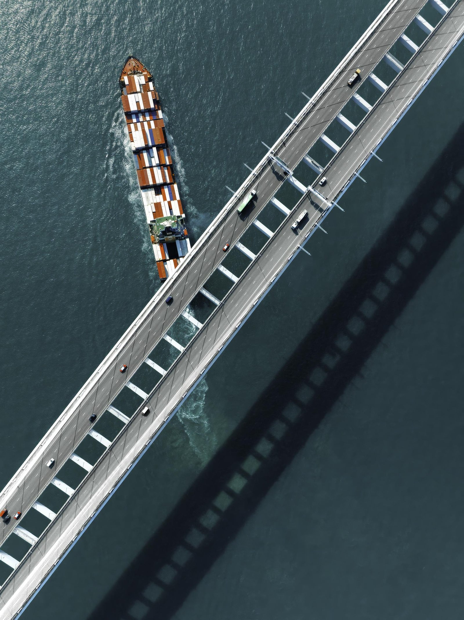 European Photography Awards Winner - Zipline