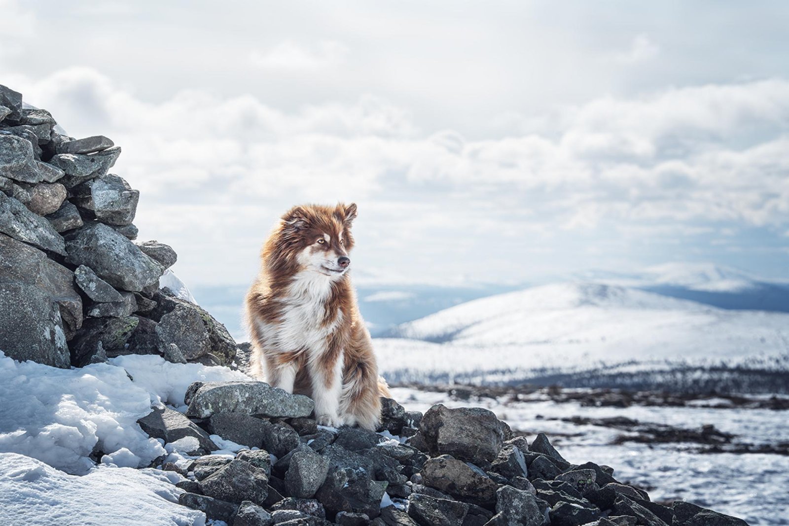 European Photography Awards Winner - Natural element