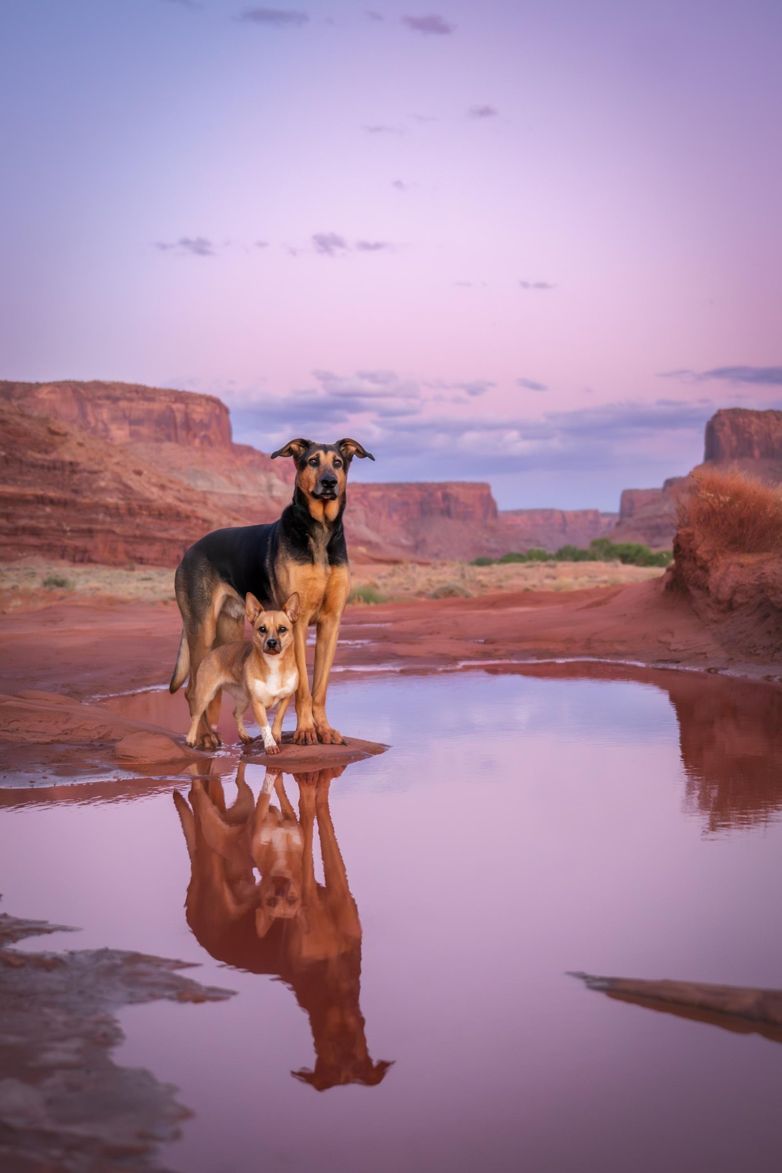 European Photography Awards Winner - Sunset in the Utah Desert 