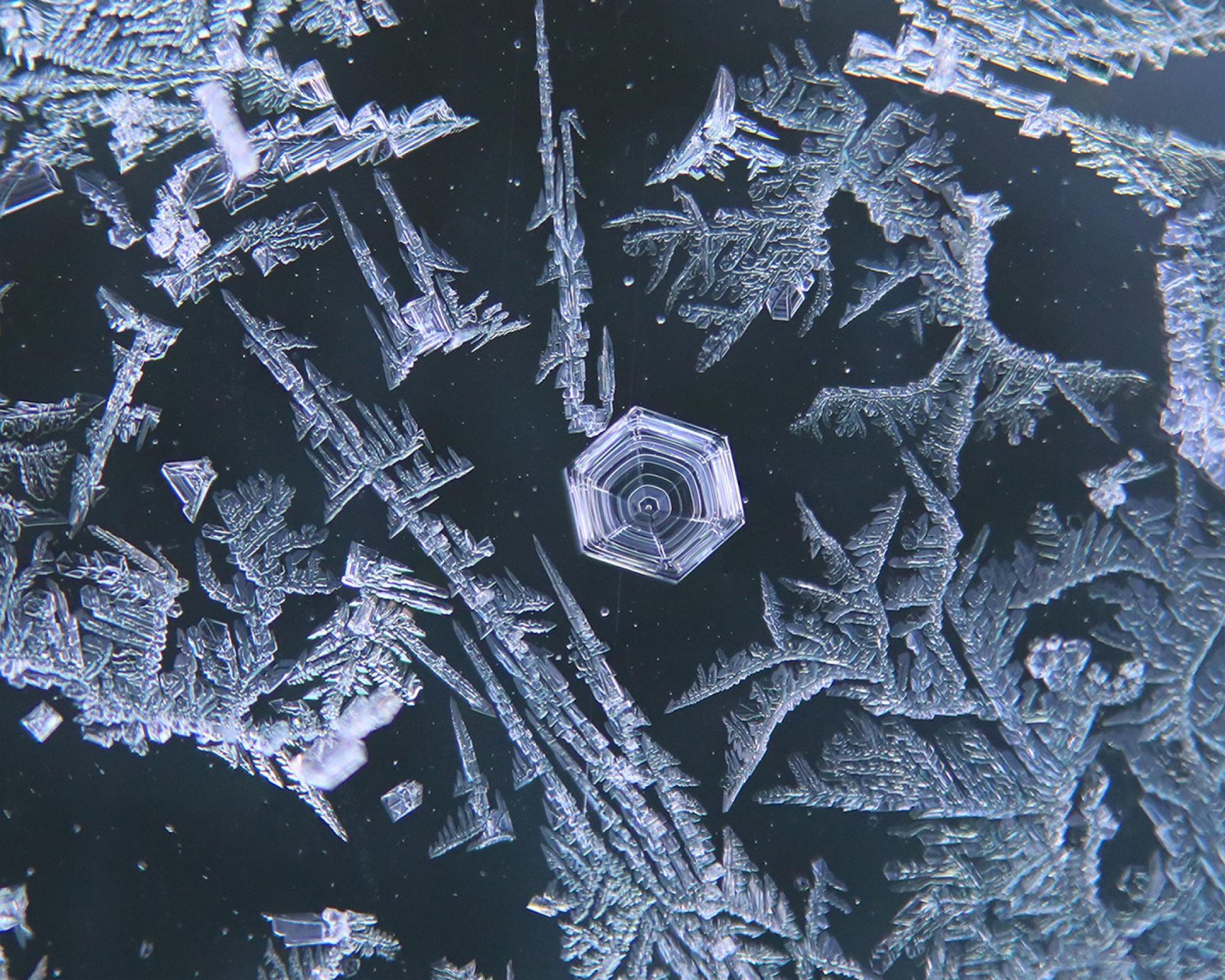 European Photography Awards Winner - Frosty Trails