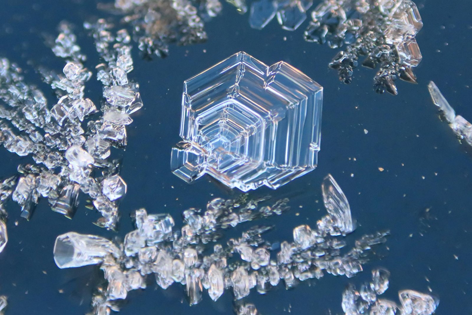 European Photography Awards Winner - Birthday's Surprise Frost
