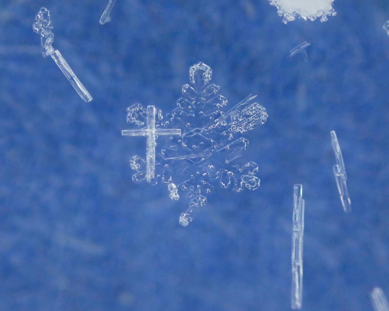 European Photography Awards Winner - Cross and Snowflake