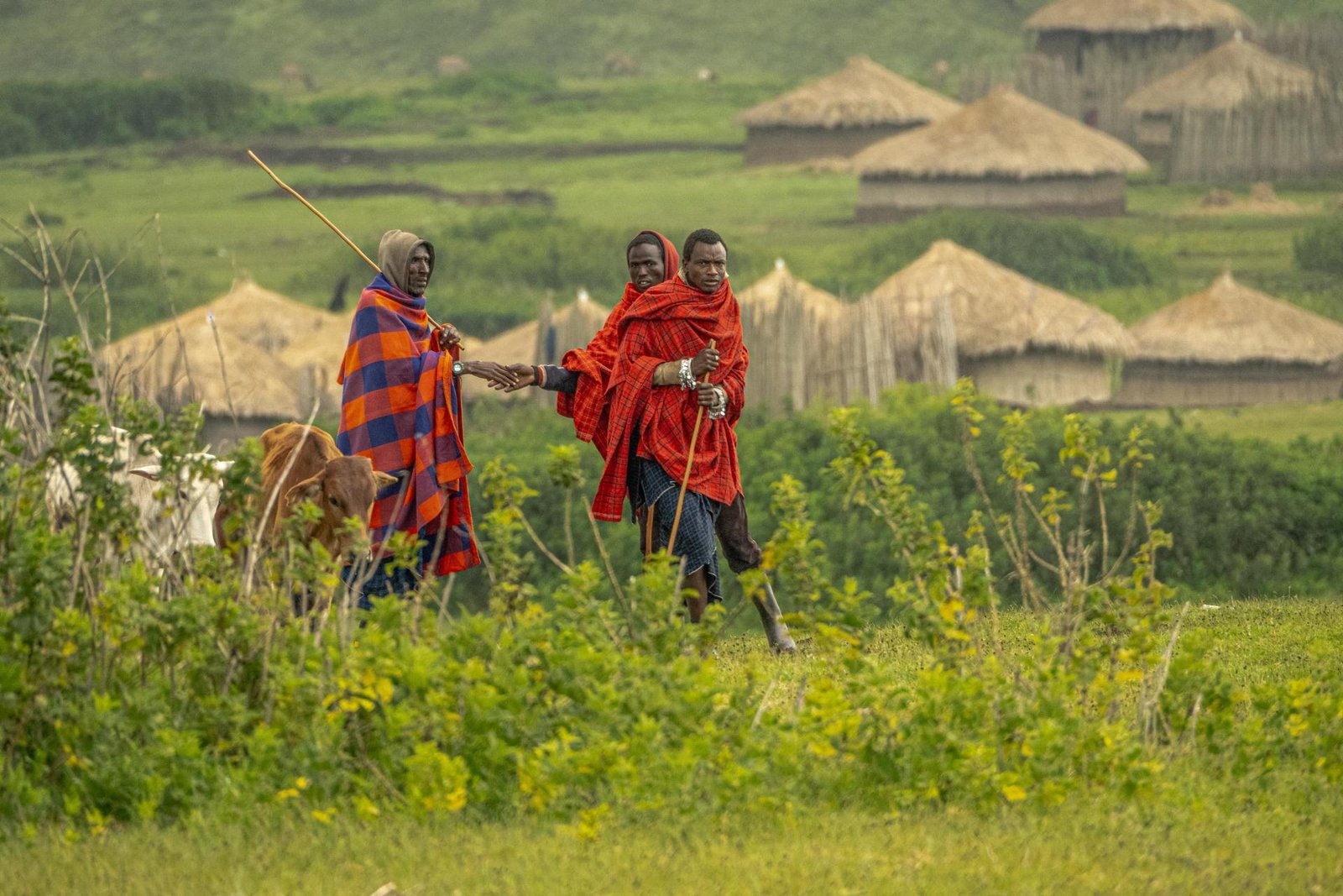 European Photography Awards Winner - Masai Life 