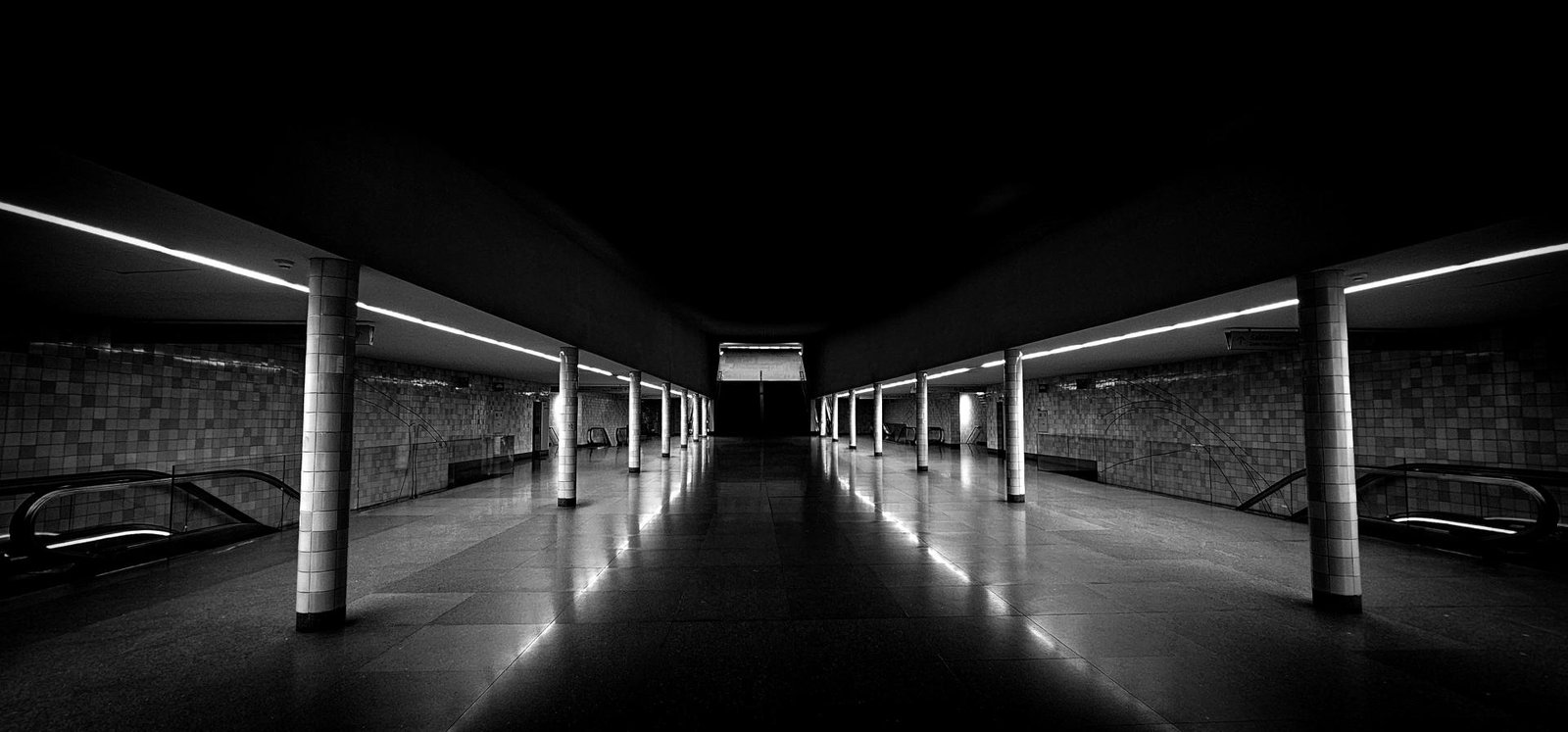 European Photography Awards Winner - Path shaped by light