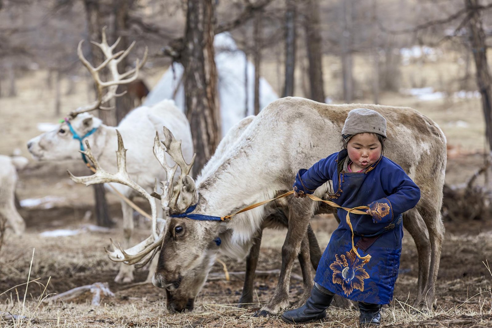 European Photography Awards Winner - The Youngest Shepard