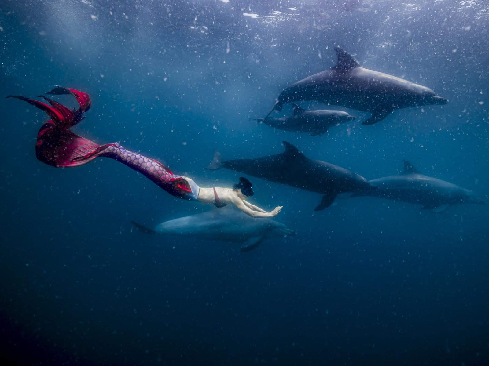 European Photography Awards Winner - A Symbiosis of Myth and Reality
