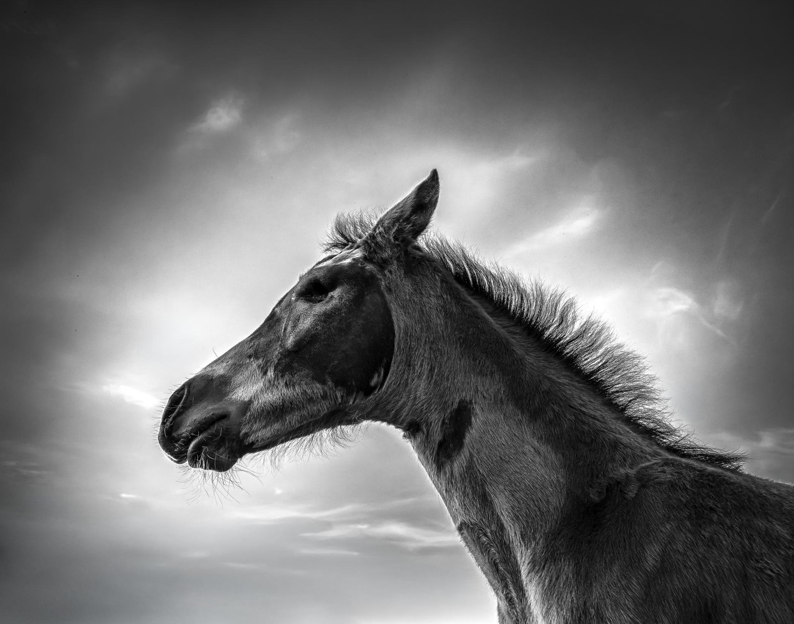European Photography Awards Winner - Walhalla