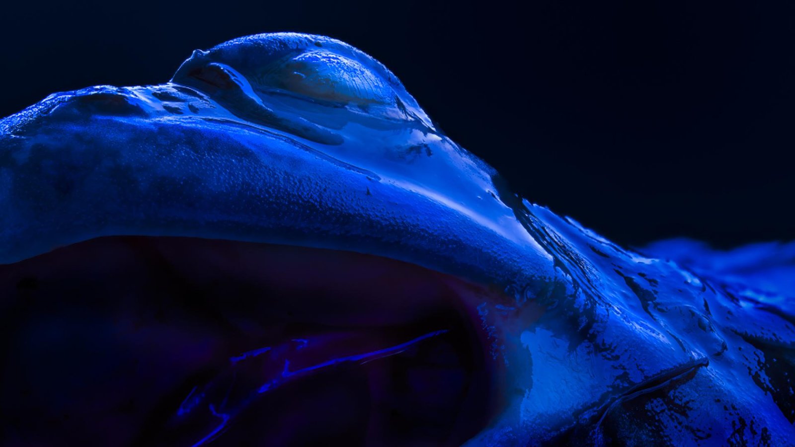 European Photography Awards Winner - Blade Hunter