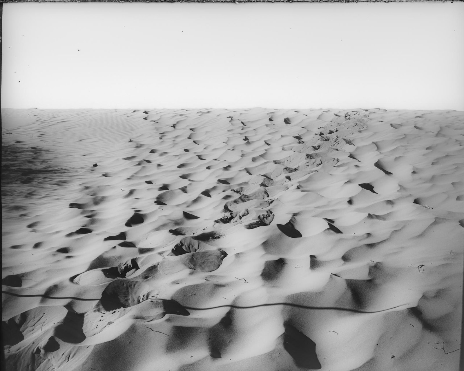 European Photography Awards Winner - Echoes of Self