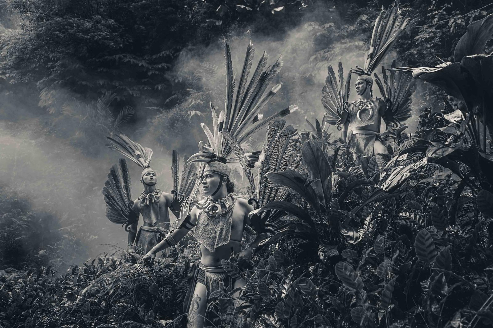 European Photography Awards Winner - Guardians of the rainforest 