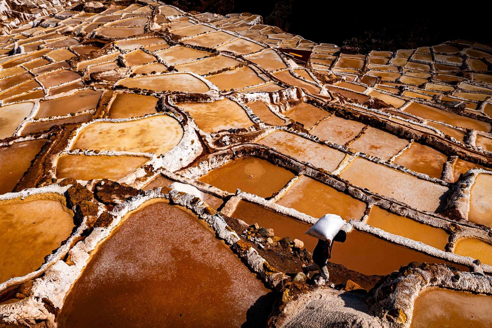 European Photography Awards Winner - The salt of the earth