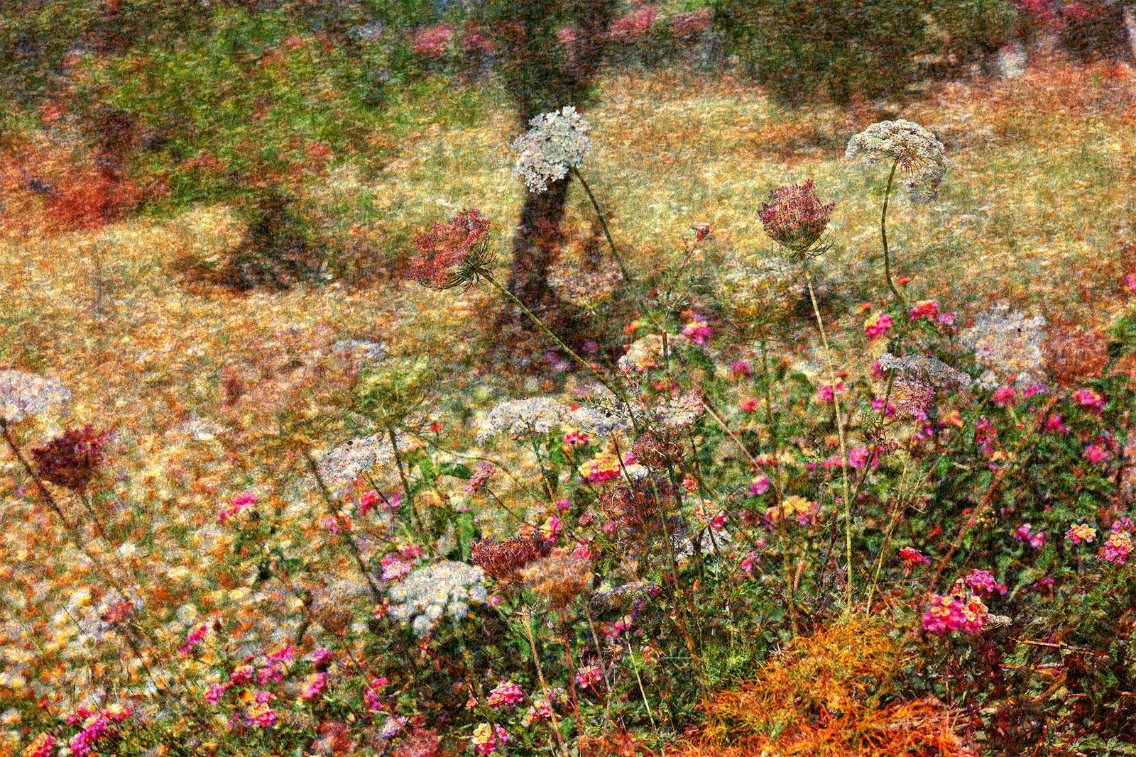 European Photography Awards Winner - Working Title: Flowers with Tree