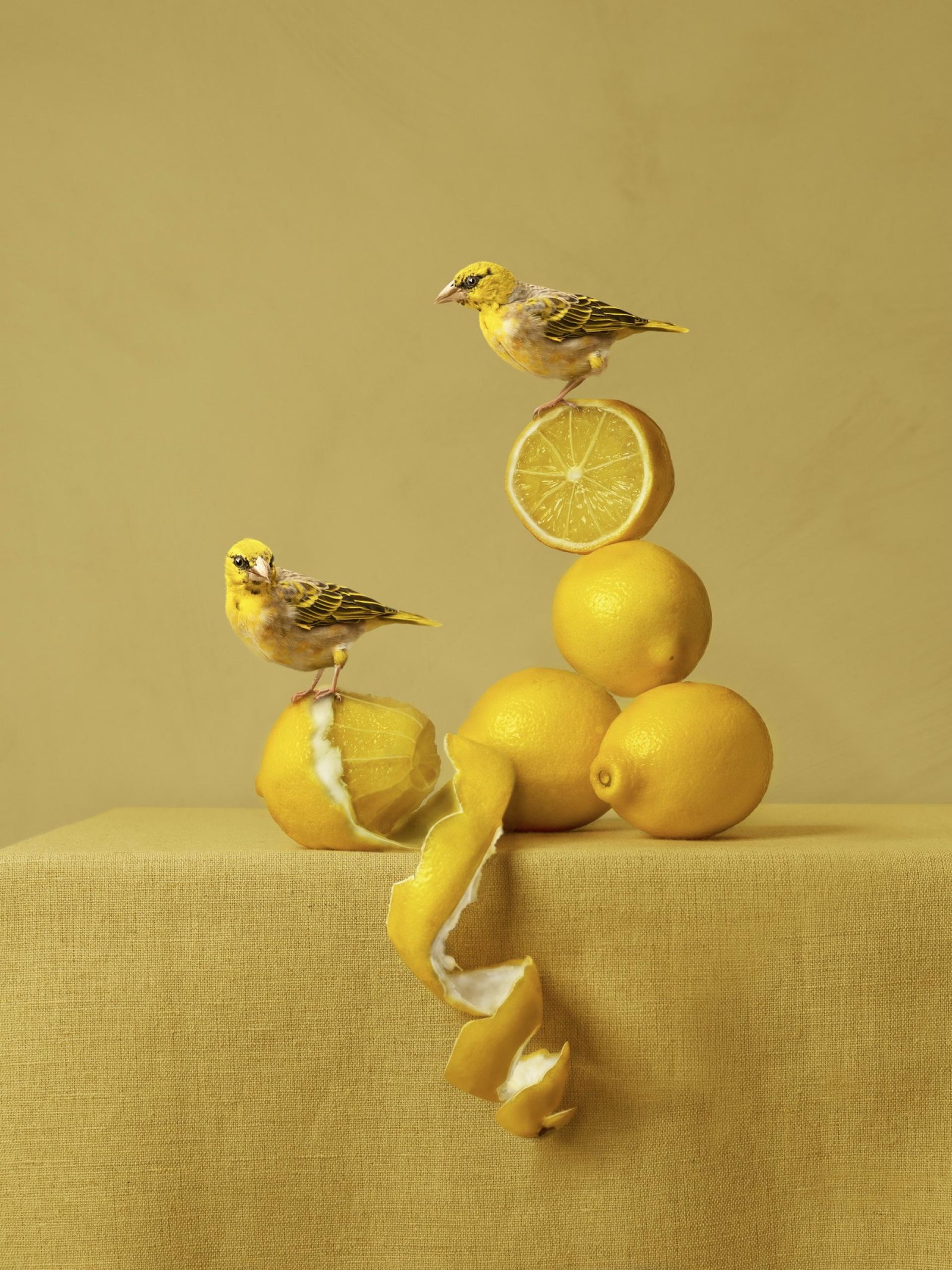 European Photography Awards Winner - Lemons