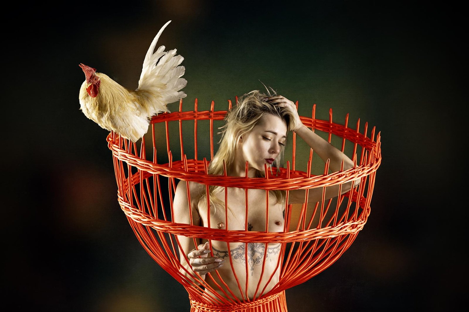 European Photography Awards Winner - Cock on top