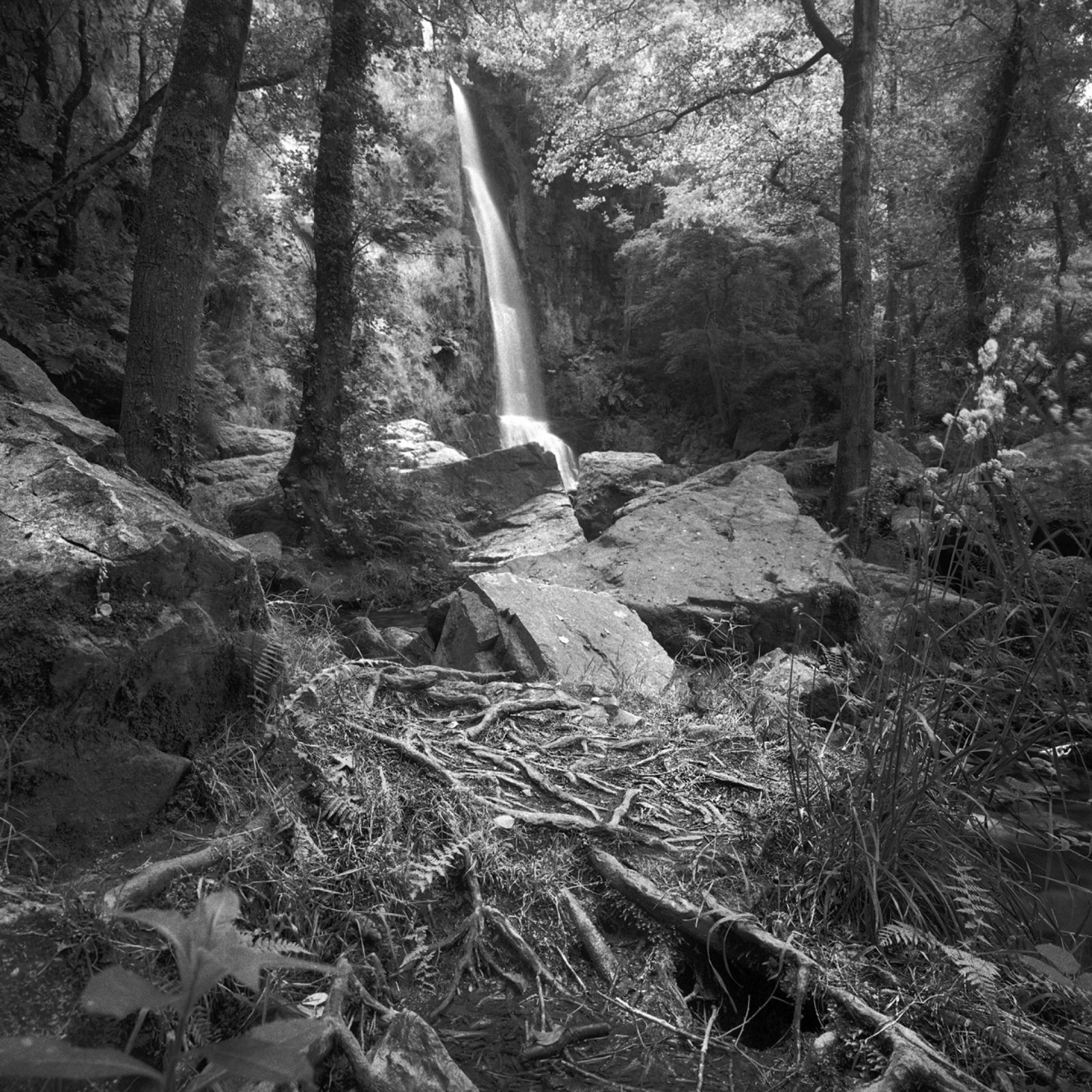 European Photography Awards Winner - PRINCIPALITY OF ASTURIAS NATURAL PARKS (NW SPAIN)