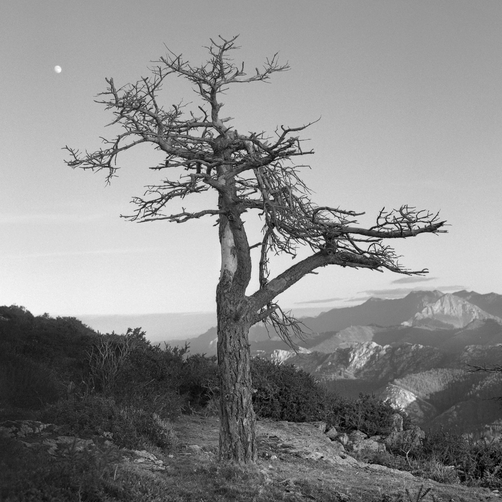 European Photography Awards Winner - PRINCIPALITY OF ASTURIAS NATURAL PARKS (NW SPAIN)