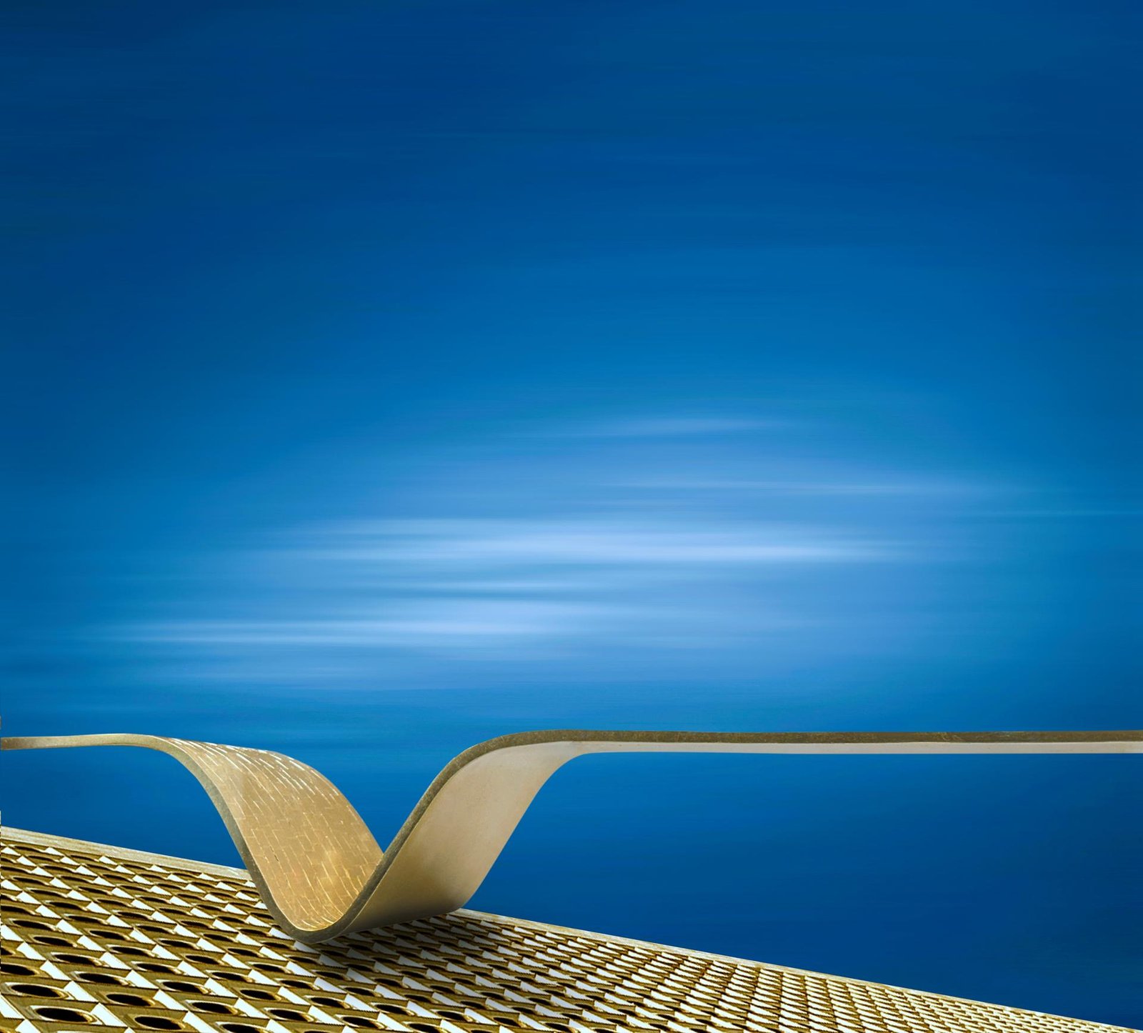 European Photography Awards Winner - Golden Sheen