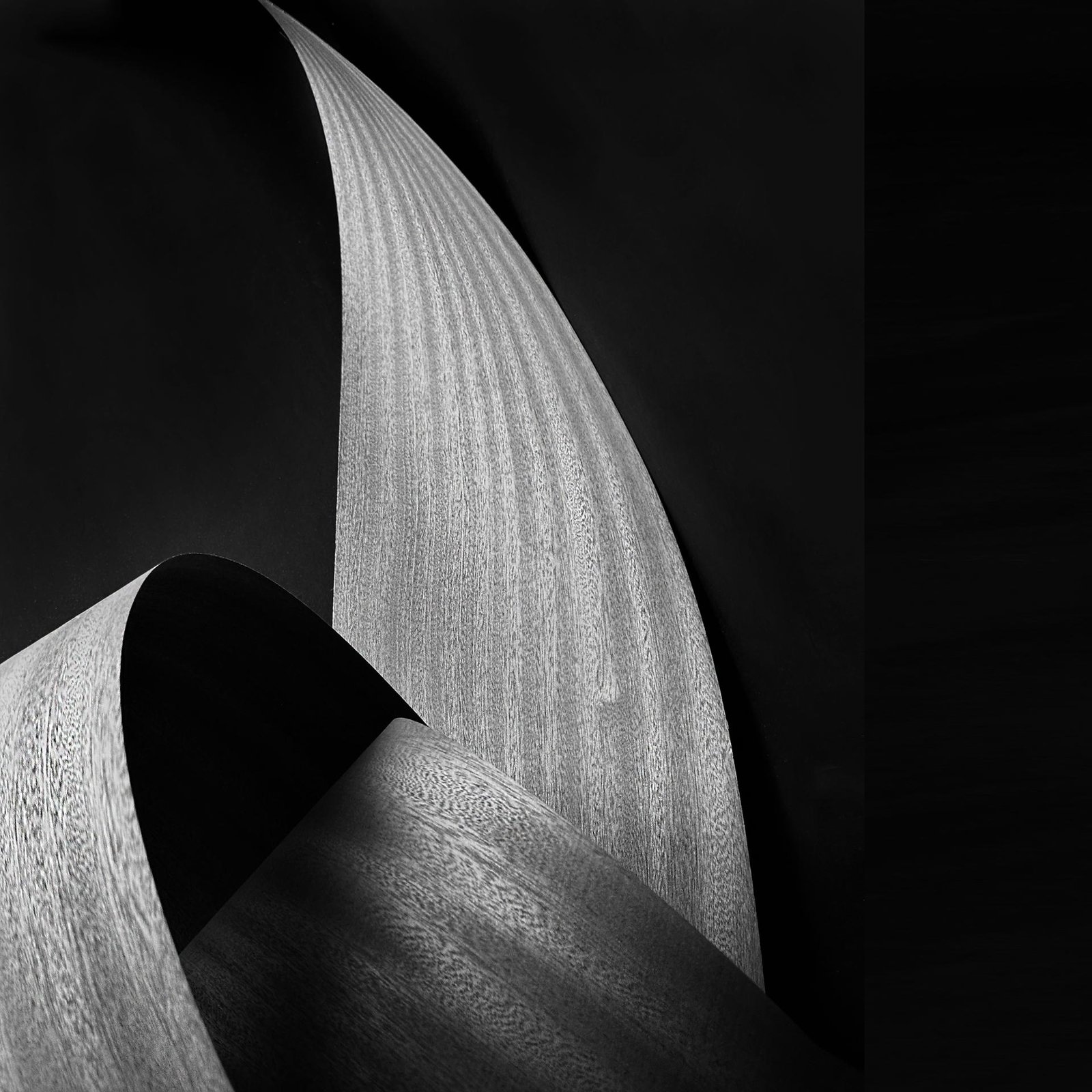 European Photography Awards Winner - Simplified Arc Structure
